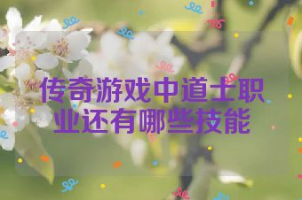 传奇游戏中道士职业还有哪些技能