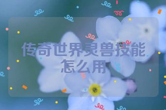 传奇世界灵兽技能怎么用