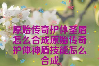 原始传奇护体圣盾怎么合成原始传奇护体神盾技能怎么合成