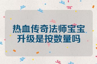 热血传奇法师宝宝升级是按数量吗