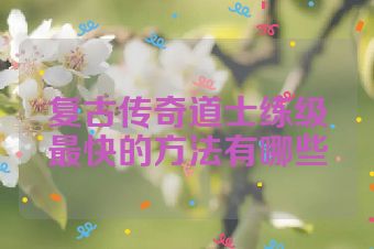 复古传奇道士练级最快的方法有哪些