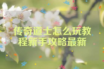 传奇道士怎么玩教程新手攻略最新