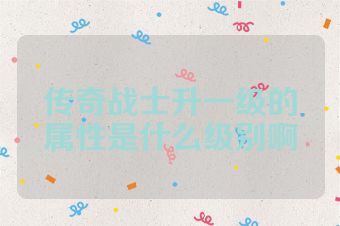传奇战士升一级的属性是什么级别啊