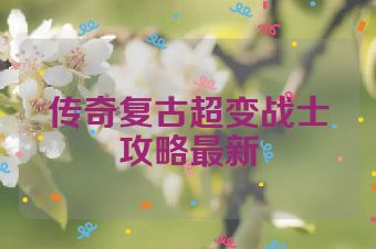 传奇复古超变战士攻略最新