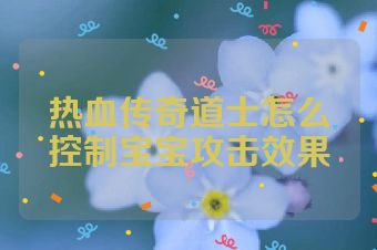 热血传奇道士怎么控制宝宝攻击效果