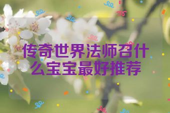 传奇世界法师召什么宝宝最好推荐
