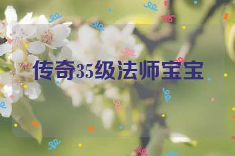 传奇35级法师宝宝