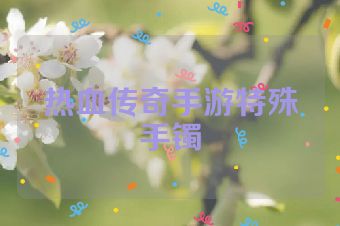 热血传奇手游特殊手镯
