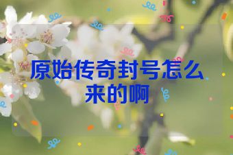 原始传奇封号怎么来的啊