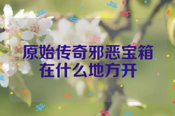 原始传奇邪恶宝箱在什么地方开