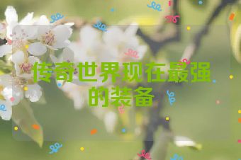 传奇世界现在最强的装备