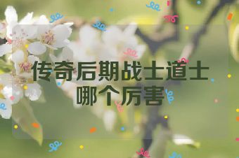 传奇后期战士道士哪个厉害