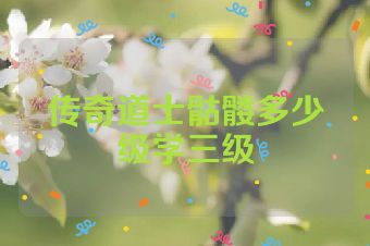 传奇道士骷髅多少级学三级