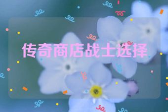 传奇商店战士选择