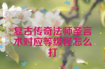 复古传奇法师圣言术对应等级怪怎么打