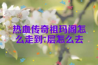 热血传奇祖玛阁怎么走到7层怎么去