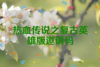热血传说之复古英雄版邀请码