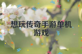 想玩传奇手游单机游戏