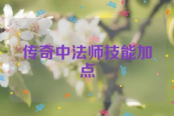 传奇中法师技能加点