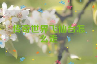 传奇世界飞仙台怎么走