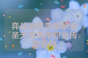 弈战国传奇单职业圣天传奇单职业传奇官网
