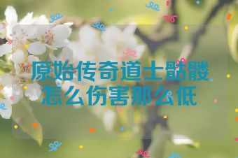 原始传奇道士骷髅怎么伤害那么低