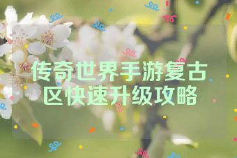 传奇世界手游复古区快速升级攻略