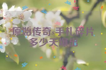 原始传奇s手札碎片多少天爆出