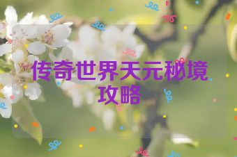 传奇世界天元秘境攻略