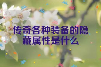 传奇各种装备的隐藏属性是什么