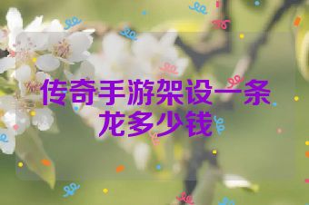 传奇手游架设一条龙多少钱