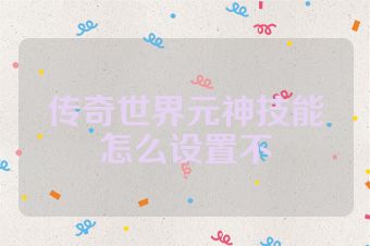 传奇世界元神技能怎么设置不