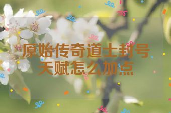 原始传奇道士封号天赋怎么加点
