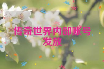传奇世界内部账号发放