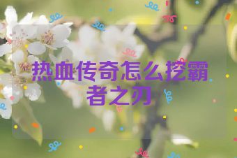 热血传奇怎么挖霸者之刃