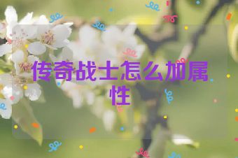 传奇战士怎么加属性
