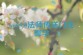 wow9.0法师传送门在哪学