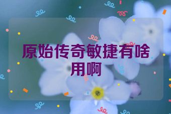 原始传奇敏捷有啥用啊