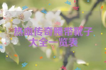 热血传奇腰带靴子大全一览表