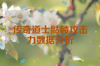 传奇道士骷髅攻击力数据分析