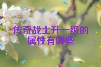 传奇战士升一级的属性有哪些
