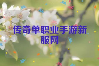 传奇单职业手游新服网