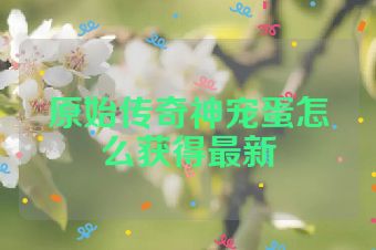 原始传奇神宠蛋怎么获得最新