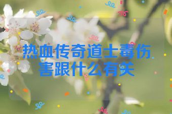 热血传奇道士毒伤害跟什么有关