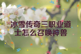 冰雪传奇三职业道士怎么召唤神兽