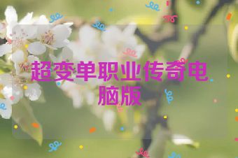 超变单职业传奇电脑版