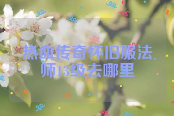 热血传奇怀旧服法师13级去哪里
