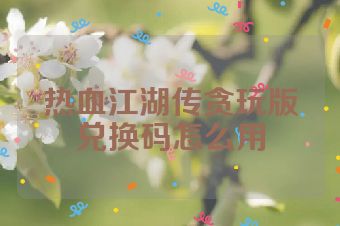 热血江湖传贪玩版兑换码怎么用