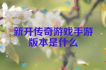 新开传奇游戏手游版本是什么