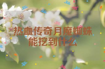 热血传奇月魔蜘蛛能挖到什么